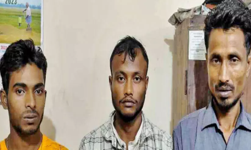 കഞ്ചാവുമായി മൂന്നുപേർ അറസ്റ്റിൽ കഞ്ചാവുമായി മൂന്നുപേർ അറസ്റ്റിൽ