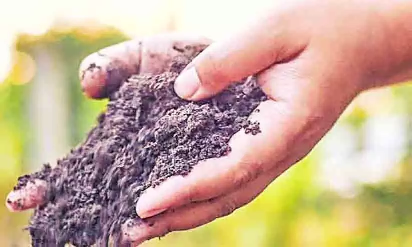 The Department of Soil Survey will conduct soil mapping The Department of Soil Survey will conduct soil mapping