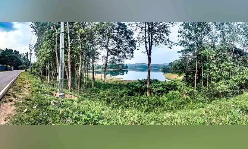 മുട്ടം വില്ലേജിന് സമീപത്തെ വനം വകുപ്പിന് വിട്ടുനൽകിയ എം.വി.ഐ.പി ഭൂമി മുട്ടം വില്ലേജിന് സമീപത്തെ വനം വകുപ്പിന് വിട്ടുനൽകിയ എം.വി.ഐ.പി ഭൂമി