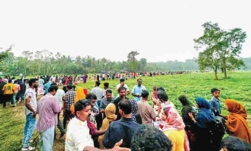 വേ​ങ്ങാ​പ​ര​ത സൂ​ര്യ​കാ​ന്തി പൂ​പ്പാ​ടം