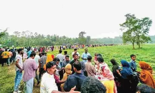 വേ​ങ്ങാ​പ​ര​ത സൂ​ര്യ​കാ​ന്തി പൂ​പ്പാ​ടം