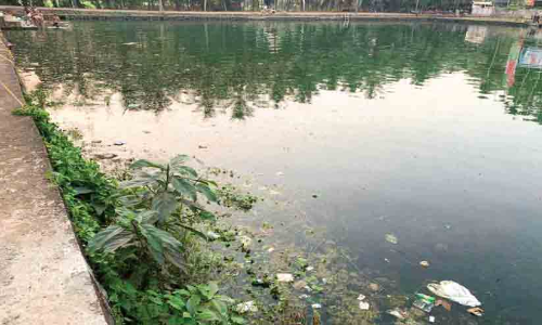 Garbage was thrown in the swimming pool