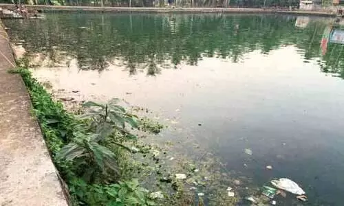 Garbage was thrown in the swimming pool