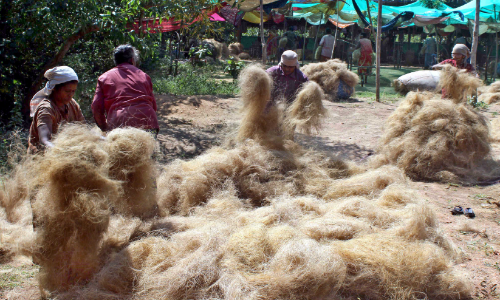 coir sector