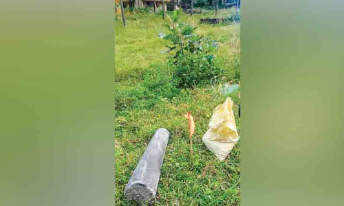 Greenfield Path: Field survey to be completed soon