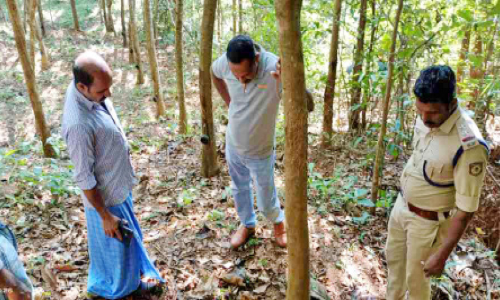അയ്യല്ലൂരില്‍ പുലിയിറങ്ങിയെന്ന് അഭ്യൂഹം; പരിശോധന ആരംഭിച്ചു