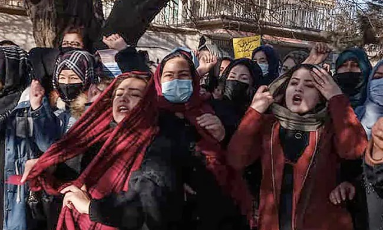 സ​ർ​വ​ക​ലാ​ശാ​ല വി​ല​ക്കി​നെ​തി​രെ അ​ഫ്ഗാ​നി​ൽ സ്ത്രീ​ക​ളു​ടെ പ്ര​ക​ട​നം