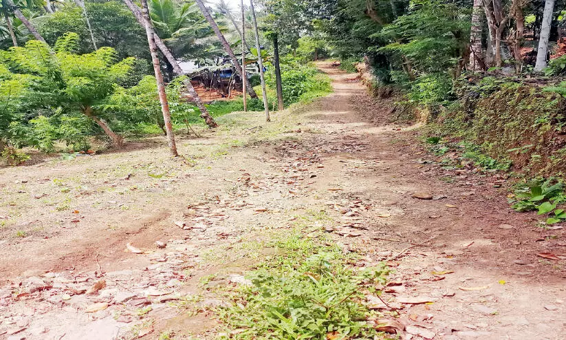 എന്ന് നന്നാവും കുരുടൻചാൽ -കുയ്യോടിയിൽ റോഡ്​?