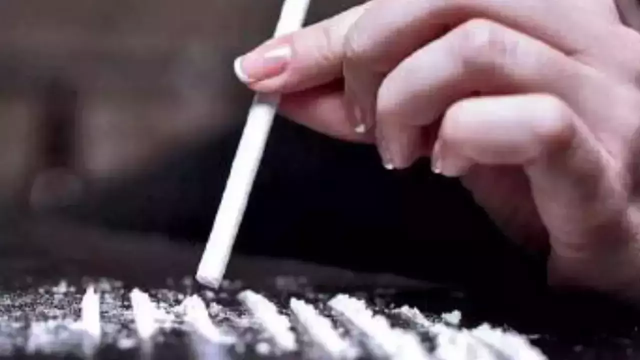 drug mafia drug mafia