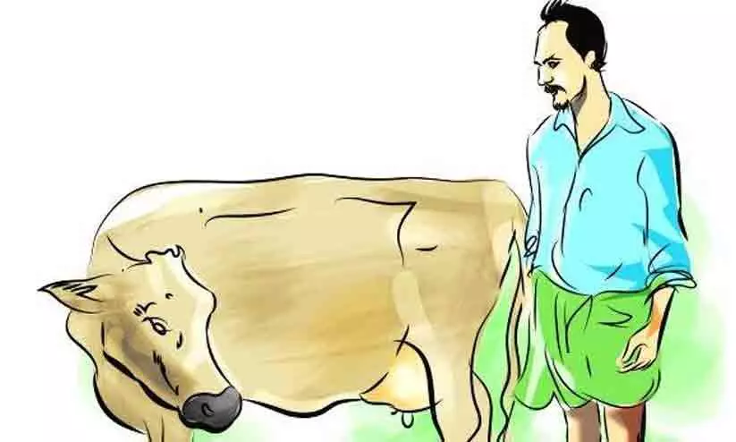 ക്ഷീരകര്‍ഷകർക്കുള്ള ഇന്‍സെന്റിവും കാലിത്തീറ്റ സബ്സിഡിയും നിലച്ചു