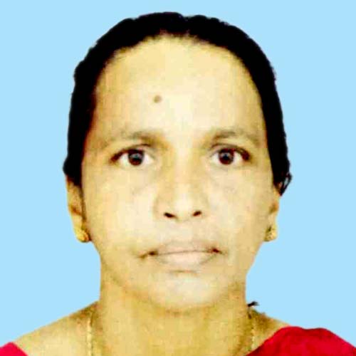 റോ​ഡ് മു​റി​ച്ച്​ ക​ട​ക്കു​ന്ന​തി​നി​ടെ ബൈ​ക്ക് ഇ​ടി​ച്ച് മ​രി​ച്ചു