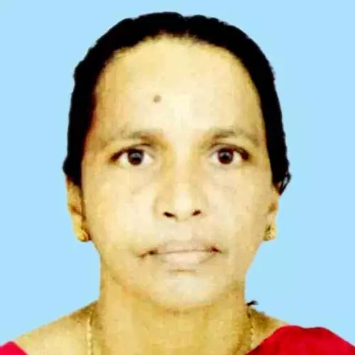 റോ​ഡ് മു​റി​ച്ച്​ ക​ട​ക്കു​ന്ന​തി​നി​ടെ ബൈ​ക്ക് ഇ​ടി​ച്ച് മ​രി​ച്ചു