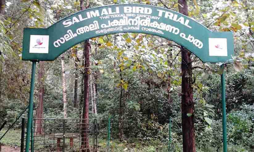 ക​രു​ത​ൽ മേ​ഖ​ല: കൊ​ച്ചി ന​ഗ​ര​ത്തി​ലും ത​ട്ടേ​ക്കാ​ടും നി​യ​ന്ത്ര​ണം വ​രും