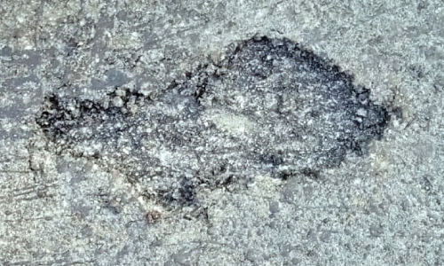 ടാറിങ് പൊട്ടിപ്പൊളിഞ്ഞു; മണിക്കൂറുകൾക്കകം