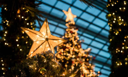 ന​ക്ഷ​ത്ര​ങ്ങ​ൾ തി​ള​ങ്ങി;  ക്രി​സ്മ​സ് വ​ര​വാ​യി