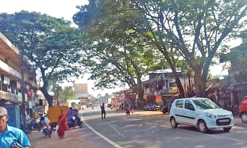 തണലൊരു തരി കാലിക്കടവിൽ മാത്രം തണലൊരു തരി കാലിക്കടവിൽ മാത്രം