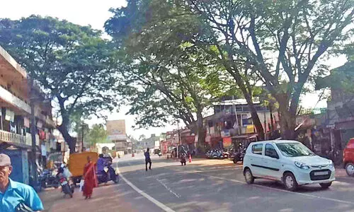 തണലൊരു തരി കാലിക്കടവിൽ മാത്രം