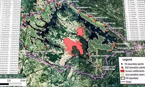 വനംവകുപ്പ് റിപ്പോർട്ട്: ഇടുക്കിയിൽ കരുതൽ മേഖലയിൽ 4959 കുടുംബം
