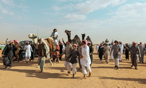 Camel race begins in Riyadh