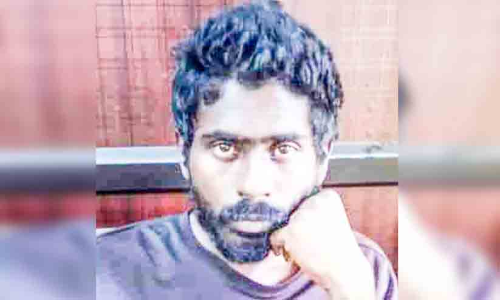 വീട്ടിൽ കഞ്ചാവ് വളർത്തിയ പ്രതിക്ക് കഠിന തടവ്