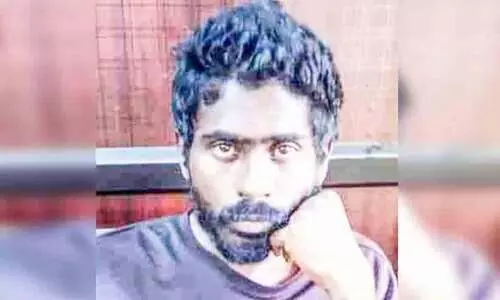 വീട്ടിൽ കഞ്ചാവ് വളർത്തിയ പ്രതിക്ക് കഠിന തടവ് വീട്ടിൽ കഞ്ചാവ് വളർത്തിയ പ്രതിക്ക് കഠിന തടവ്