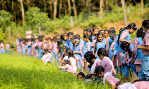പാഠ്യേതര പദ്ധതികളിലും തിളങ്ങി വയലാ എൻ.വി.യു.പി.എസ് പാഠ്യേതര പദ്ധതികളിലും തിളങ്ങി വയലാ എൻ.വി.യു.പി.എസ്