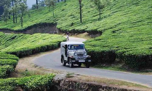 നെല്ലിയാമ്പതിയിലെ ജനവാസ കേന്ദ്രങ്ങൾ കരുതൽ മേഖലയിൽ