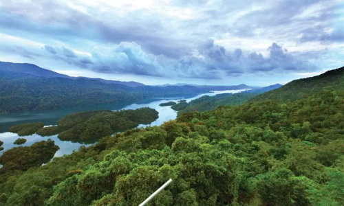 കരുതൽ മേഖല: എരുമേലിയിൽ പ്രതിഷേധം