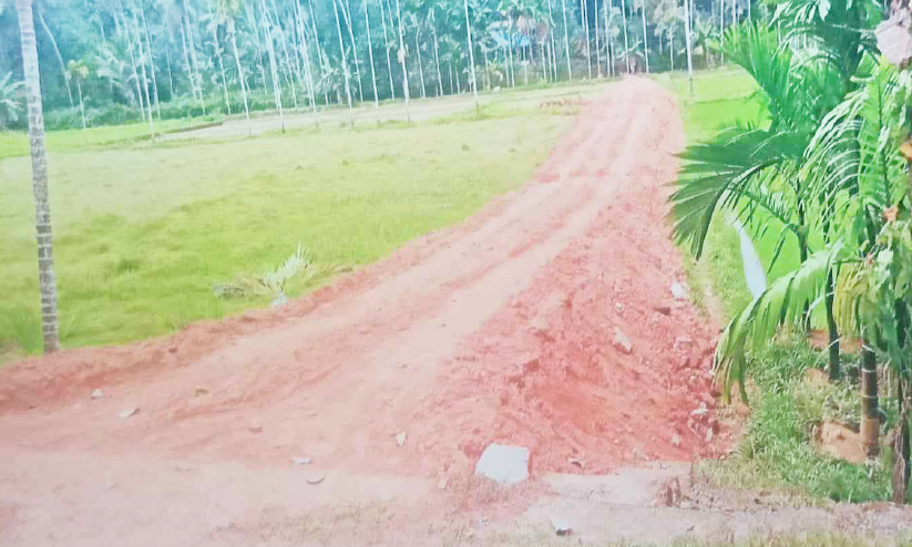 കൂത്താളി കൊരട്ടി വയൽ മണ്ണിട്ടു നികത്തുന്നു കൂത്താളി കൊരട്ടി വയൽ മണ്ണിട്ടു നികത്തുന്നു