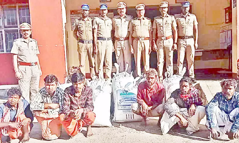 കാപ്പിക്കുരു മോഷണം നടത്തിയ ആറുപേരെ അറസ്റ്റ് ചെയ്തു കാപ്പിക്കുരു മോഷണം നടത്തിയ ആറുപേരെ അറസ്റ്റ് ചെയ്തു