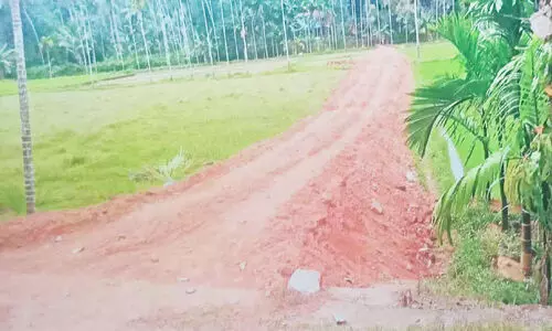 കൂ​ത്താ​ളി കൊ​ര​ട്ടി വ​യ​ൽ മ​ണ്ണി​ട്ടു നി​ക​ത്തു​ന്നു