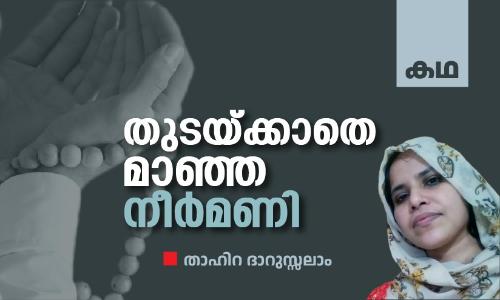 Story written by Tahira Darussalam