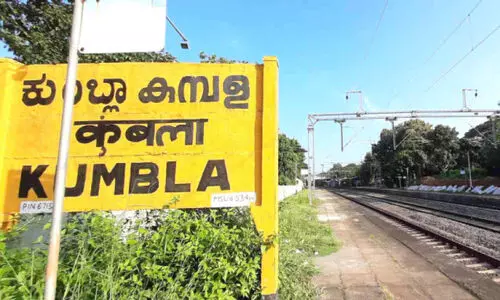 കുമ്പളക്ക് കുതിക്കണം