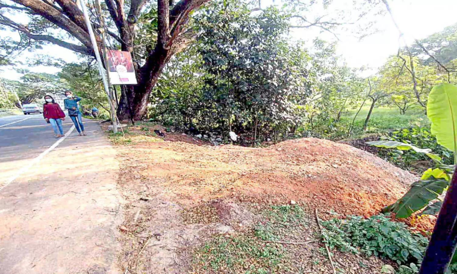 നിലം നികത്തൽ; മുൻ ആർ.ഡി.ഒയുടെ ഉത്തരവ് റദ്ദാക്കി സബ്​​ കലക്​ടർ