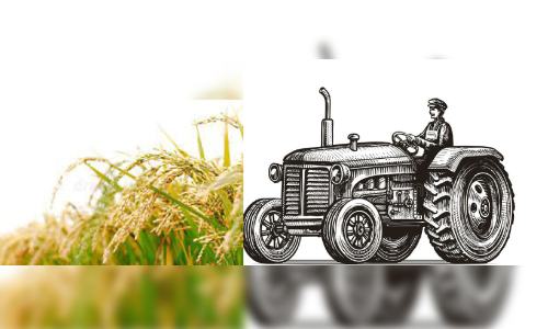 കാർഷിക സെൻസസ്; പൊതുജനങ്ങൾ സഹകരിക്കണമെന്ന് കലക്ടർ