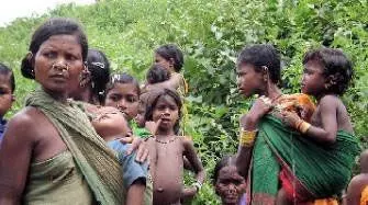 ഉദ്യോഗസ്ഥ അനാസ്ഥ: ആദിവാസി ഊരുകളിലെ സംരക്ഷണ ഭിത്തിയുടെ ഫണ്ട് ചെലവഴിച്ചില്ലെന്ന് റിപ്പോർട്ട് ഉദ്യോഗസ്ഥ അനാസ്ഥ: ആദിവാസി ഊരുകളിലെ സംരക്ഷണ ഭിത്തിയുടെ ഫണ്ട് ചെലവഴിച്ചില്ലെന്ന് റിപ്പോർട്ട്