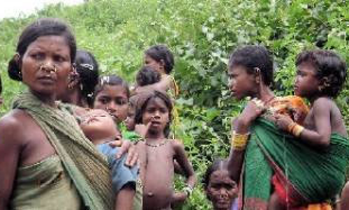 ഉദ്യോഗസ്ഥ അനാസ്ഥ: ആദിവാസി ഊരുകളിലെ സംരക്ഷണ ഭിത്തിയുടെ ഫണ്ട് ചെലവഴിച്ചില്ലെന്ന് റിപ്പോർട്ട്