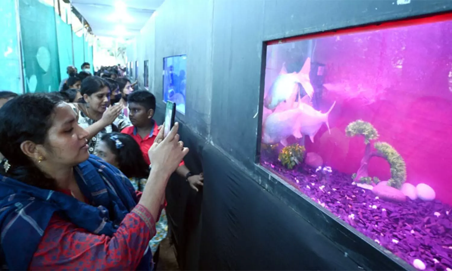 മത്സ്യലോകത്തിലെ അത്ഭുതക്കാഴ്ചകളൊരുക്കി കനകക്കുന്ന്