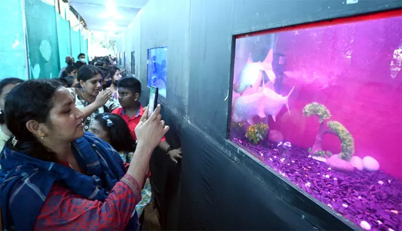 മത്സ്യലോകത്തിലെ അത്ഭുതക്കാഴ്ചകളൊരുക്കി കനകക്കുന്ന് മത്സ്യലോകത്തിലെ അത്ഭുതക്കാഴ്ചകളൊരുക്കി കനകക്കുന്ന്