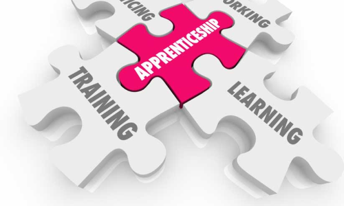apprenticeship