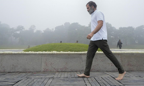 ഡൽഹിയിലെ കൊടുംശൈത്യത്തിലും രാഹുൽ ഗാന്ധിക്ക് തണുക്കാത്തതെന്ത്; ഉത്തരം ഇതാണ്