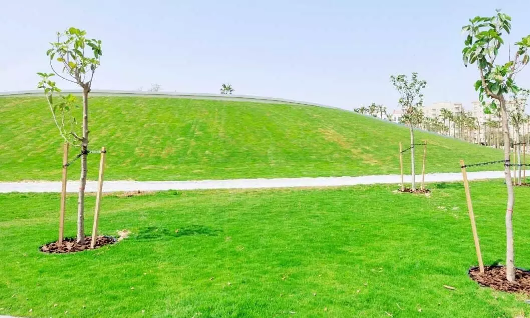 Qatar Parks Qatar Parks