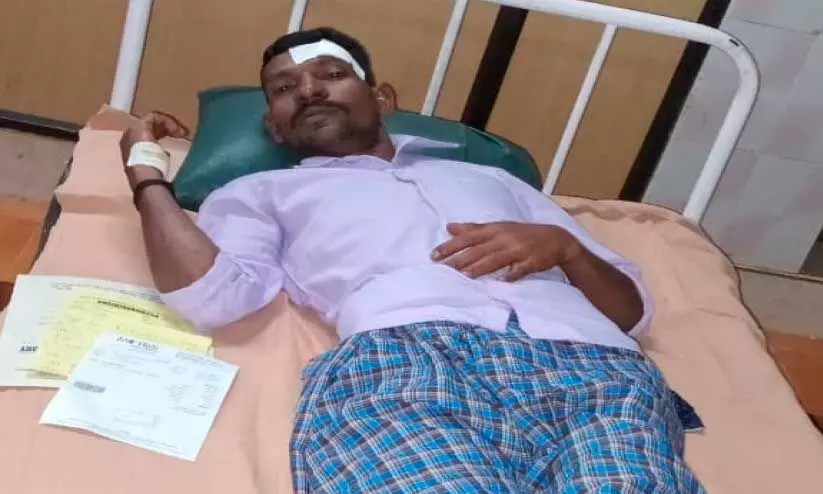 കാട്ടാന ആക്രമണത്തിൽ ബൈക്ക് യാത്രികർക്ക് പരിക്ക് കാട്ടാന ആക്രമണത്തിൽ ബൈക്ക് യാത്രികർക്ക് പരിക്ക്