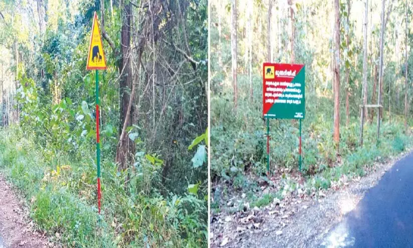 വന്യമൃഗശല്യം: കാനനപാതയിൽ സൂചന ബോർഡുകൾ സ്ഥാപിച്ചു വന്യമൃഗശല്യം: കാനനപാതയിൽ സൂചന ബോർഡുകൾ സ്ഥാപിച്ചു