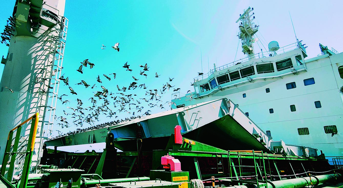 ഒരു കപ്പൽ കാഴ്ച