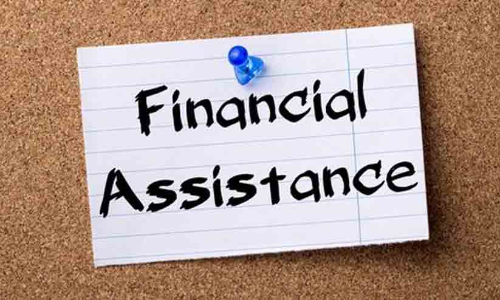 ഹോർട്ടികള്‍ച്ചര്‍ മിഷന്‍ ധനസഹായം നല്‍കുന്നു