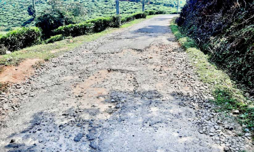 യാത്രക്കാരുടെ നടുവൊടിച്ചു അച്ചൂർ-കമ്മാടംകുന്ന് റോഡ് യാത്രക്കാരുടെ നടുവൊടിച്ചു അച്ചൂർ-കമ്മാടംകുന്ന് റോഡ്