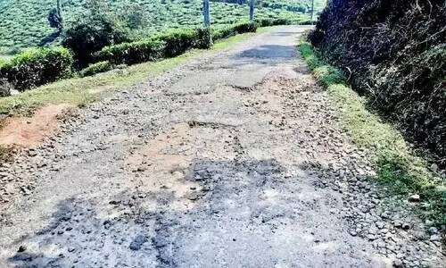 യാത്രക്കാരുടെ നടുവൊടിച്ചു അച്ചൂർ-കമ്മാടംകുന്ന് റോഡ് യാത്രക്കാരുടെ നടുവൊടിച്ചു അച്ചൂർ-കമ്മാടംകുന്ന് റോഡ്