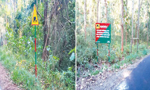 വന്യമൃഗശല്യം: കാനനപാതയിൽ സൂചന ബോർഡുകൾ സ്ഥാപിച്ചു