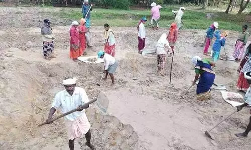 അശാസ്ത്രീയ നിയന്ത്രണങ്ങൾ; താളംതെറ്റി തൊഴിലുറപ്പ് പദ്ധതി
